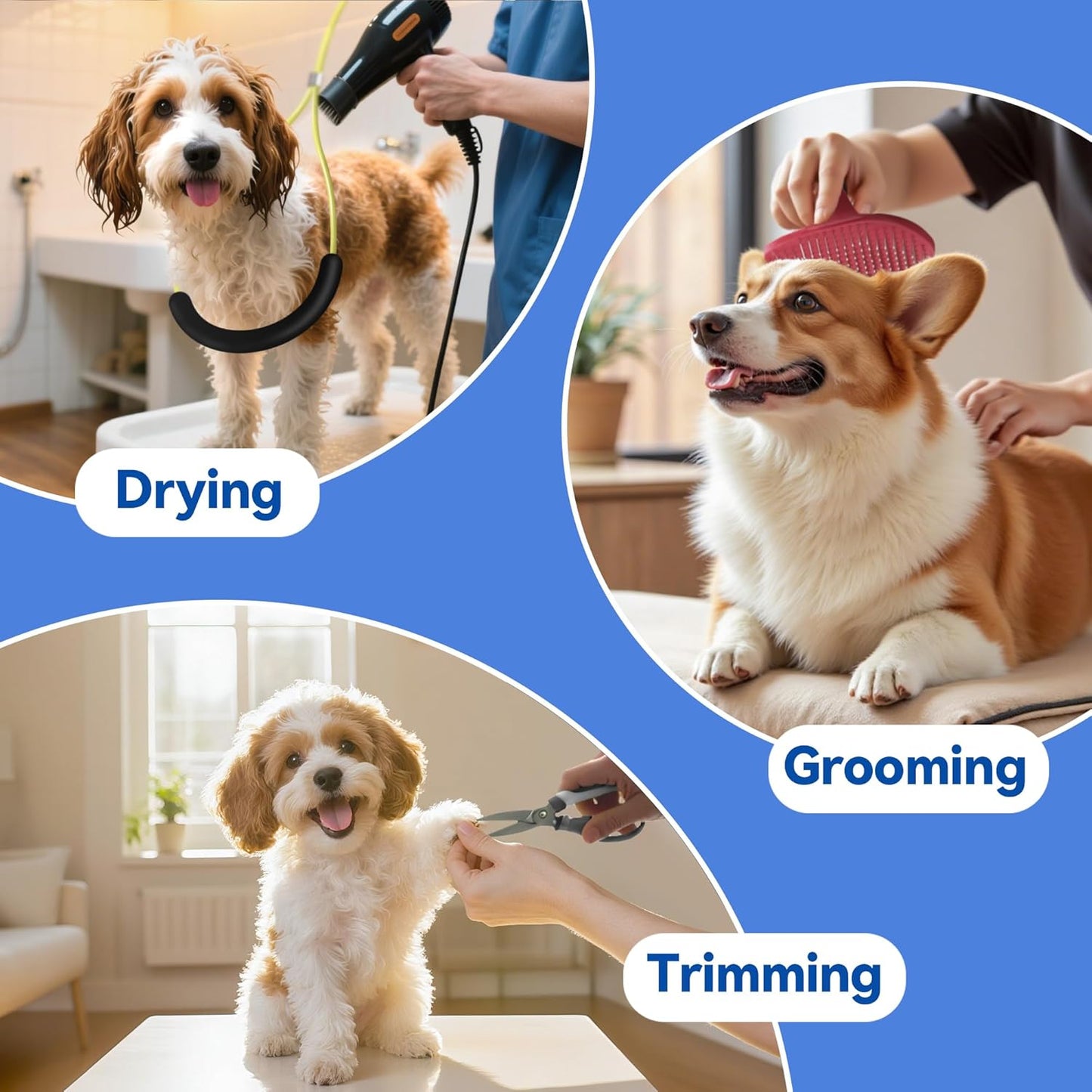 Adjustable Foldable Dog Grooming Arm